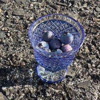 ブルーベリー